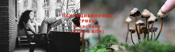 Альфа ПВП Абдулино