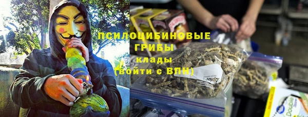 шишки Абинск