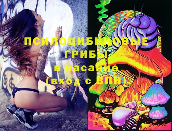шишки Абинск
